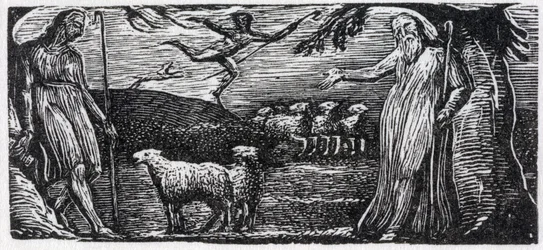 Thenot protesterar med Colinet, Lightfoot in the Distance, illustration från Dr. Thorntons 